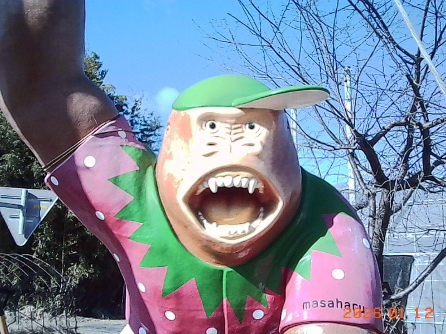 伊左地町しまの農園のゴリラ